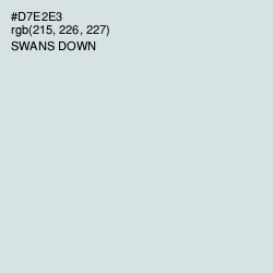 #D7E2E3 - Swans Down Color Image